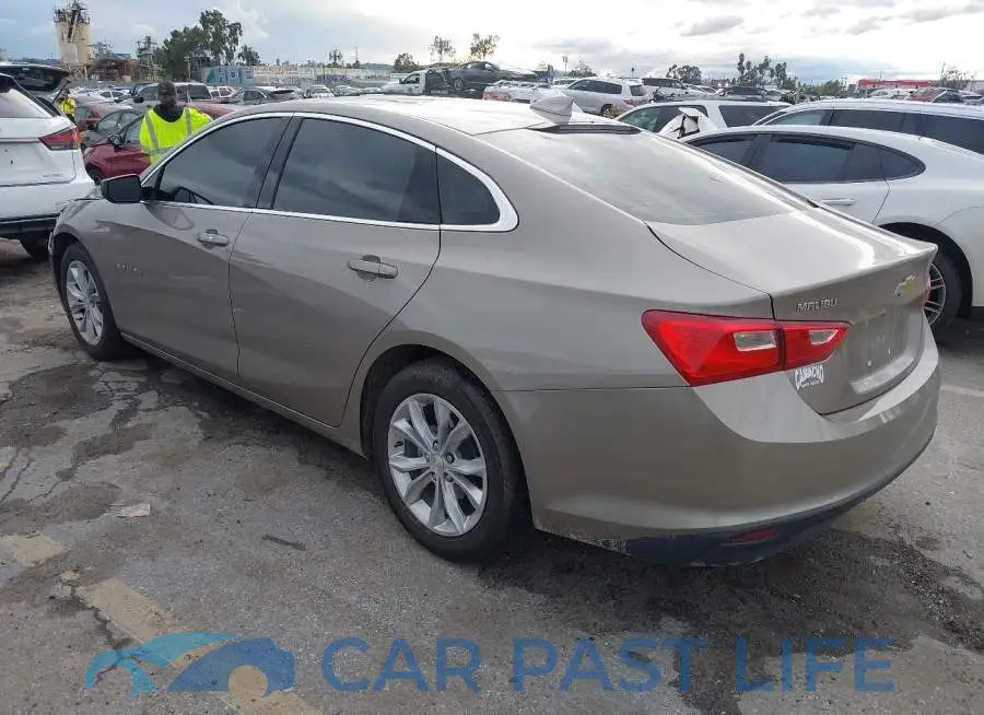 1G1ZD5ST5PF187087# 3