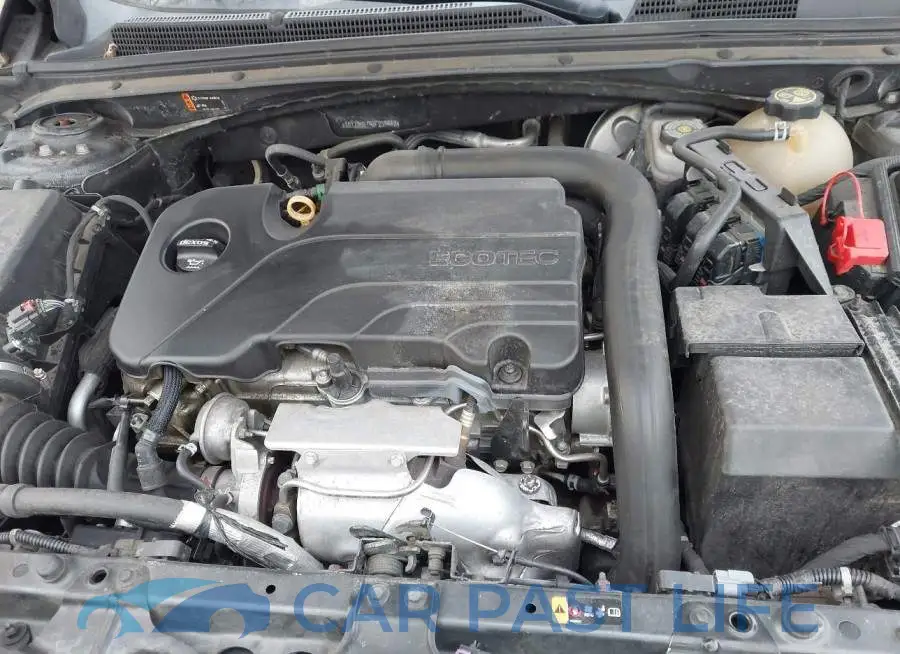 1G1ZD5ST9JF239442# 10