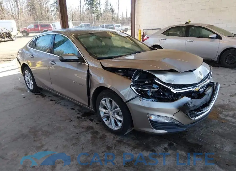 1G1ZD5ST9PF184662# 1