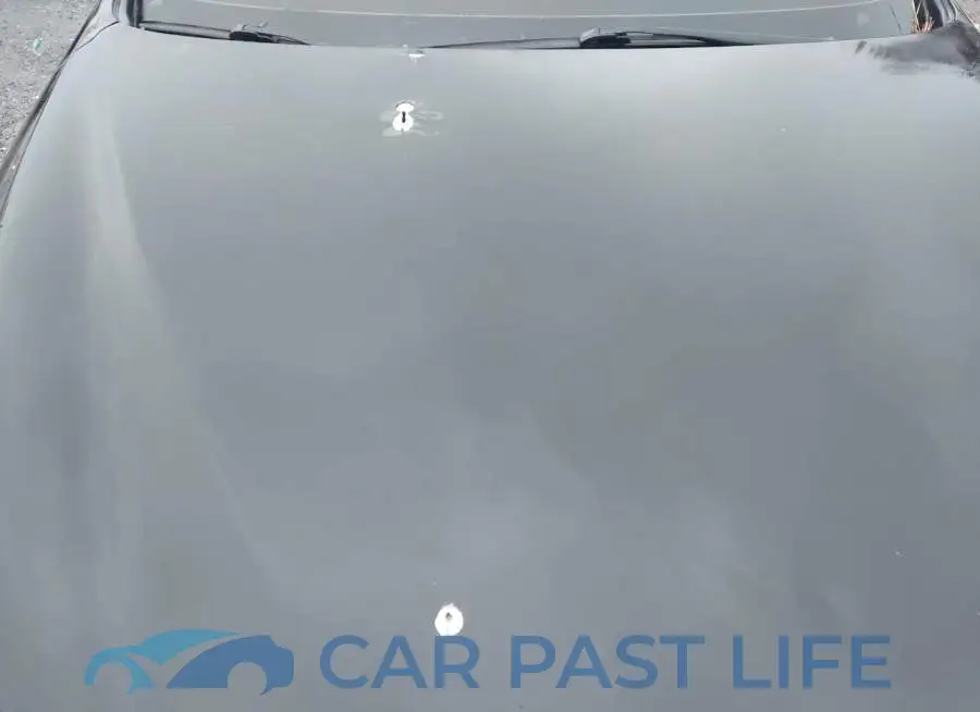 JN1EV7AR1GM345315# 17