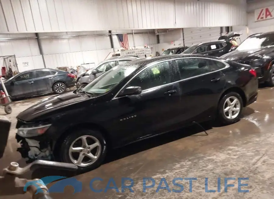 1G1ZB5ST6JF202502# 2