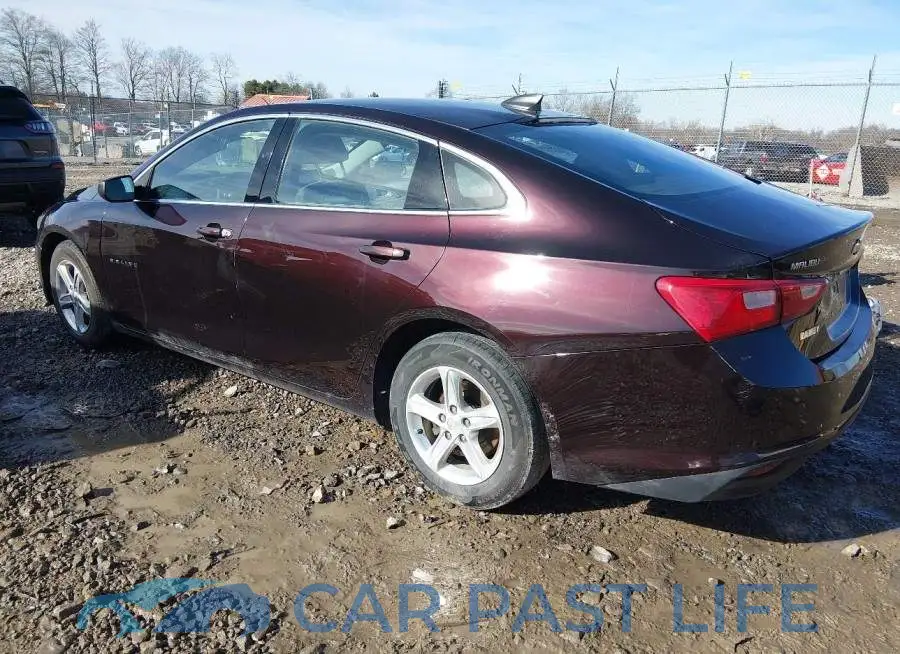 1G1ZB5ST5LF157524# 3