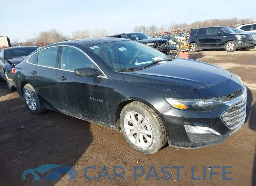 1G1ZD5ST1RF144885# 13
