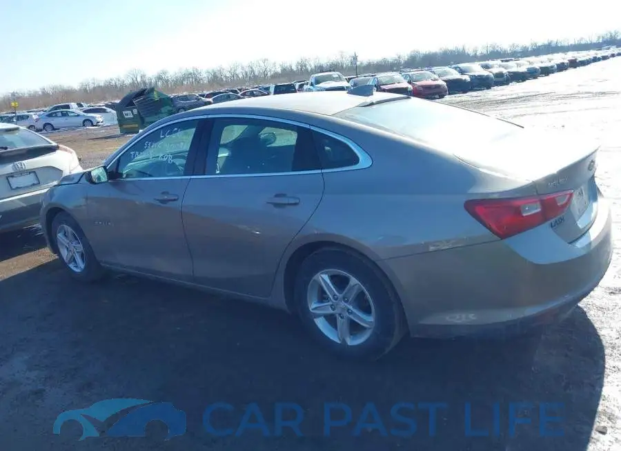 1G1ZD5ST2RF239066# 14