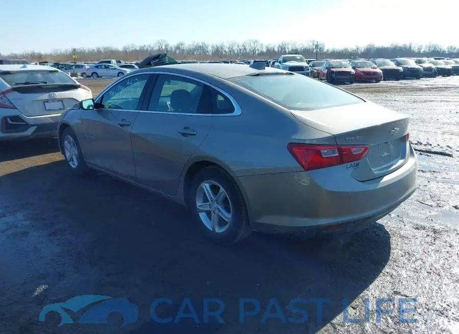 1G1ZD5ST2RF239066# 3