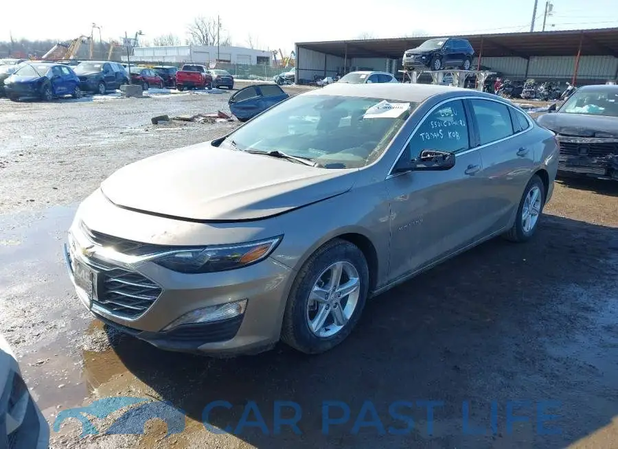 1G1ZD5ST2RF239066# 2