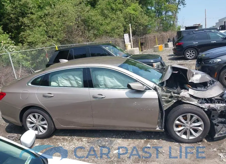1G1ZD5ST9PF124526# 13