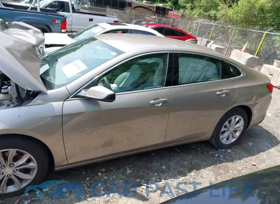 1G1ZD5ST9PF124526# 14