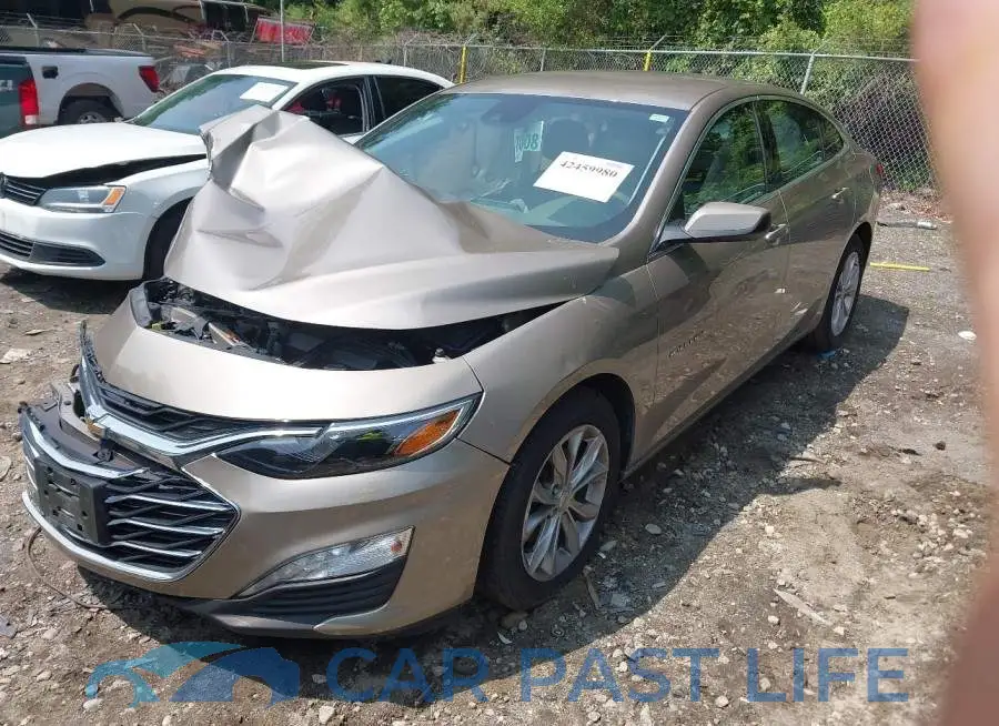 1G1ZD5ST9PF124526# 2