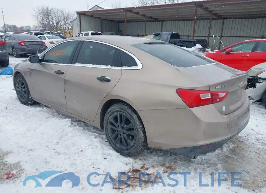 1G1ZD5ST3JF143953# 3