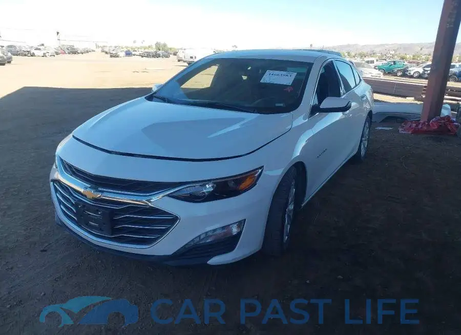 1G1ZD5ST6RF181673# 2