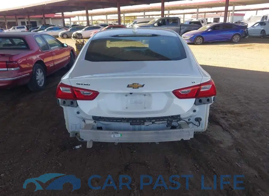 1G1ZD5ST6RF181673# 17