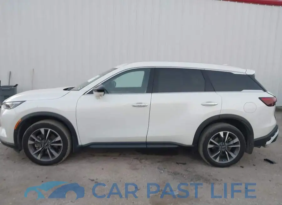 5N1AL1FR1SC342299# 14