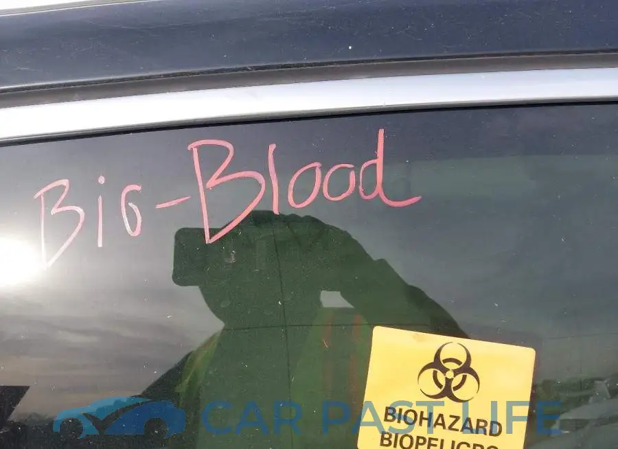 WBXHU7C32H5H34066# 7