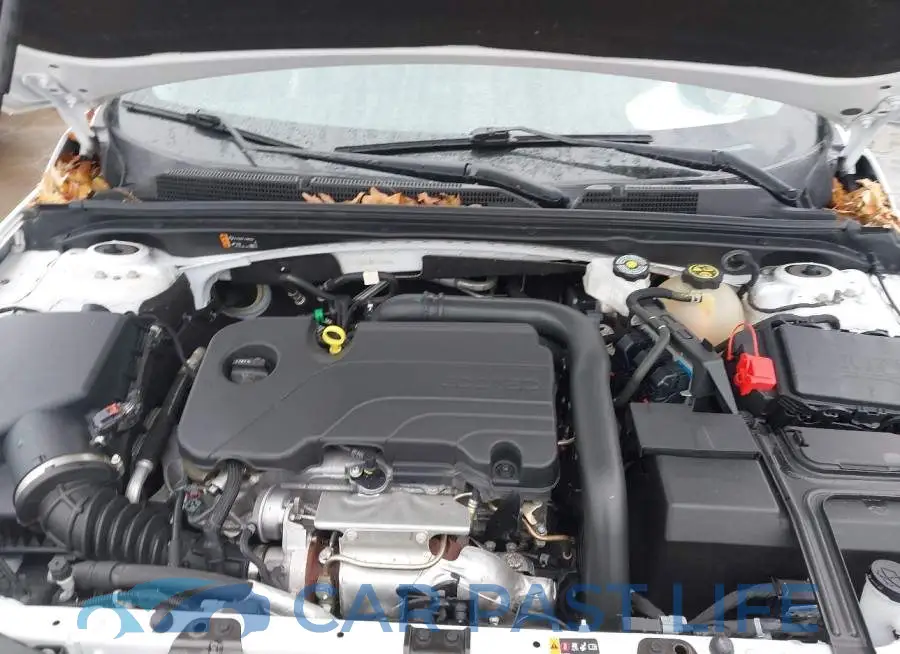 1G1ZD5ST8PF137929# 10