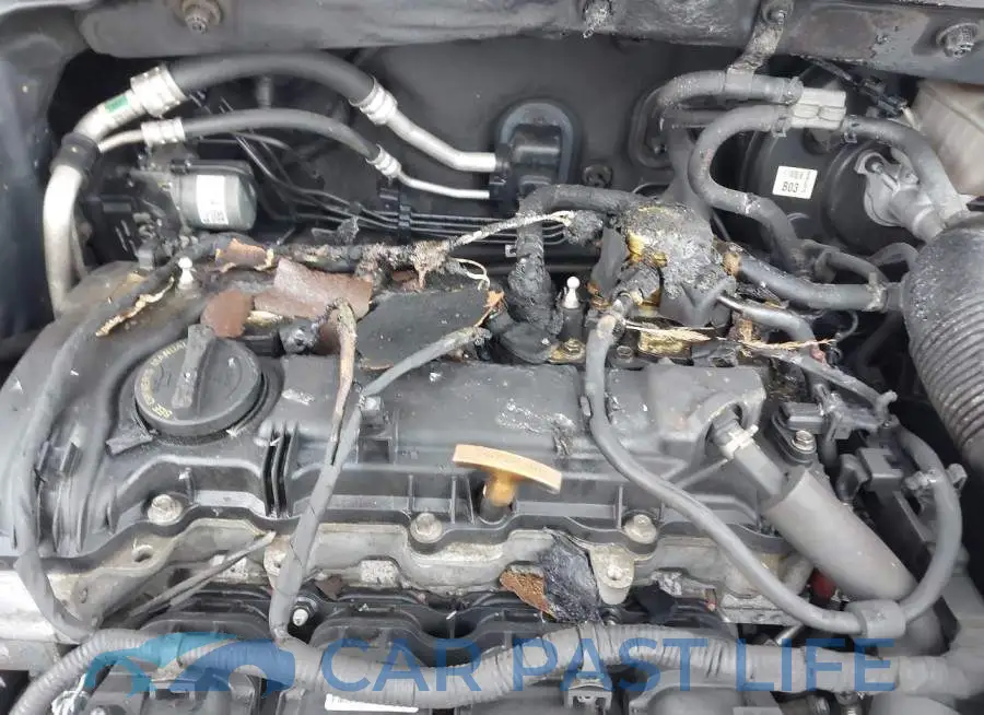 KM8J2CA43KU980509# 6