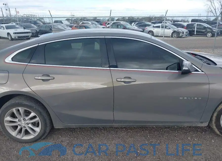 1G1ZD5ST1JF215443# 14