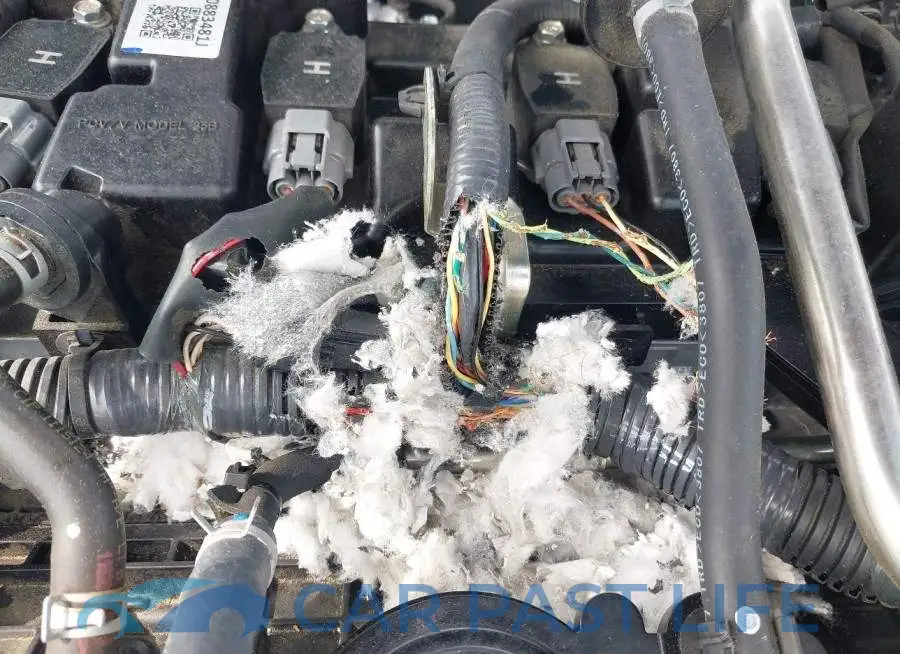3N1AB8CV4SY248946# 6