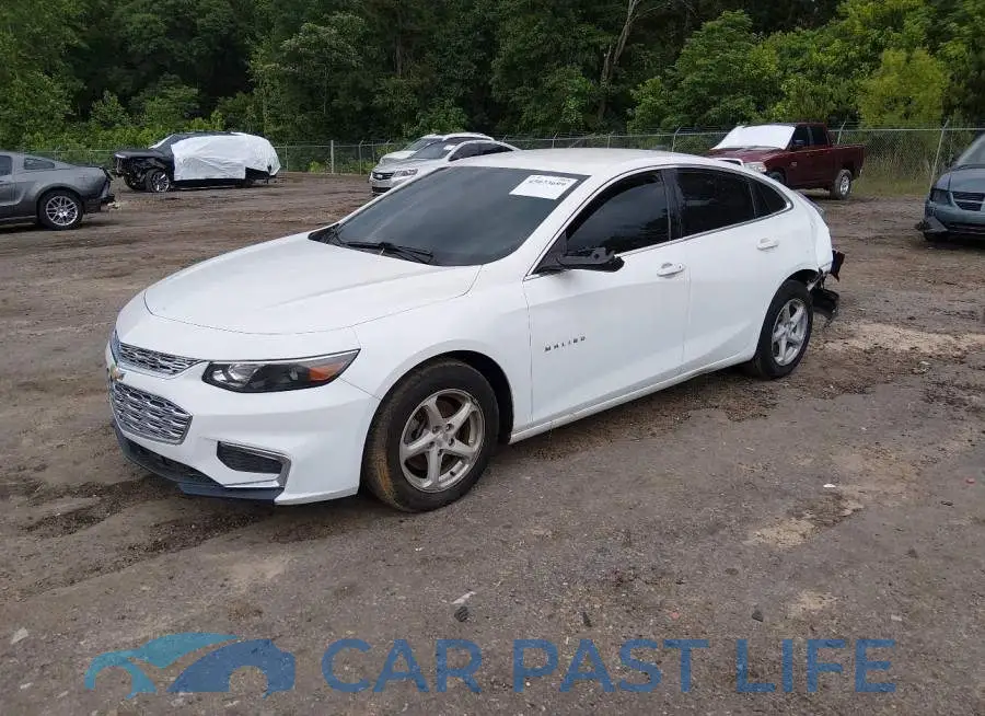 1G1ZC5ST5HF169161# 2