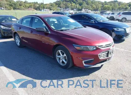 feature